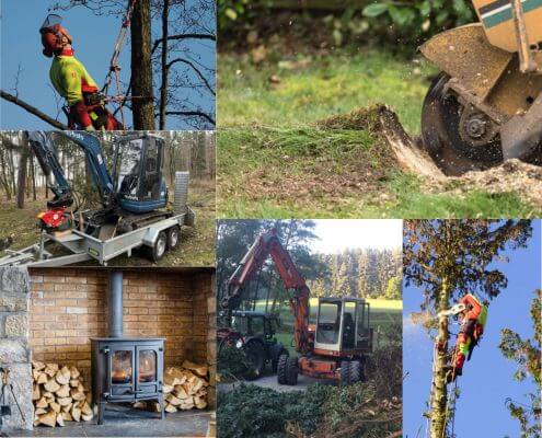 Dienstleistungen als Holzfällerbetrieb