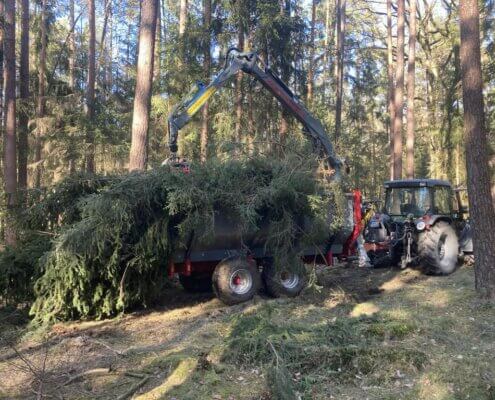 Abtransport von Gartenabfällen