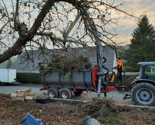 Abtransport von Gartenabfällen