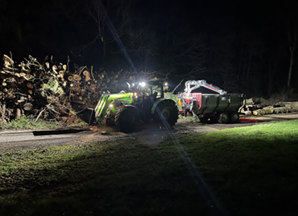 Forstdienstleistungen